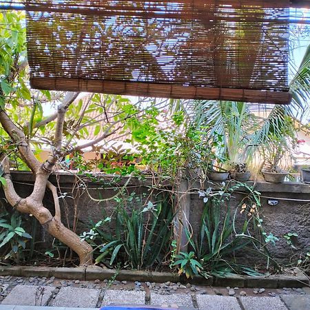 Dharma Yoga Homestay Dan Hostel Амед Экстерьер фото